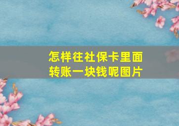 怎样往社保卡里面转账一块钱呢图片