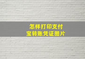 怎样打印支付宝转账凭证图片