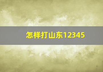 怎样打山东12345