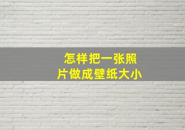 怎样把一张照片做成壁纸大小