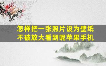 怎样把一张照片设为壁纸不被放大看到呢苹果手机