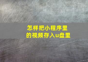 怎样把小程序里的视频存入u盘里