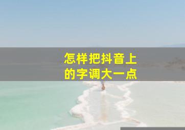 怎样把抖音上的字调大一点