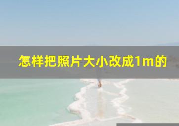 怎样把照片大小改成1m的