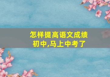 怎样提高语文成绩初中,马上中考了