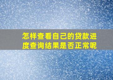 怎样查看自己的贷款进度查询结果是否正常呢