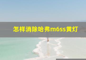 怎样消除哈弗m6ss黄灯