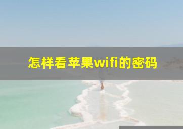 怎样看苹果wifi的密码