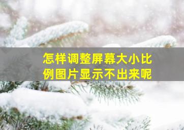 怎样调整屏幕大小比例图片显示不出来呢