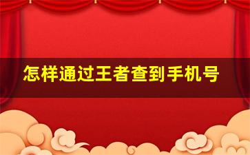 怎样通过王者查到手机号