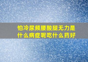 怕冷尿频腰酸腿无力是什么病症呢吃什么药好