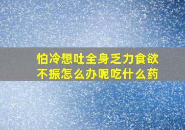 怕冷想吐全身乏力食欲不振怎么办呢吃什么药