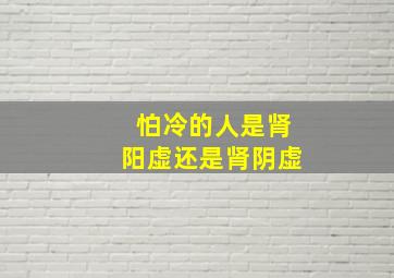 怕冷的人是肾阳虚还是肾阴虚