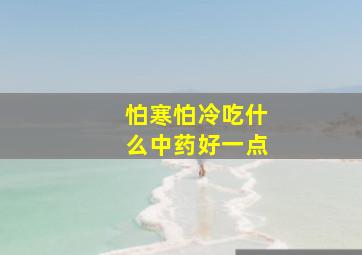 怕寒怕冷吃什么中药好一点