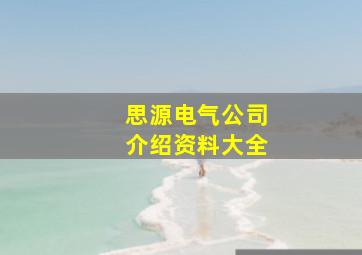 思源电气公司介绍资料大全