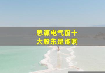 思源电气前十大股东是谁啊