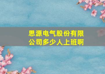 思源电气股份有限公司多少人上班啊