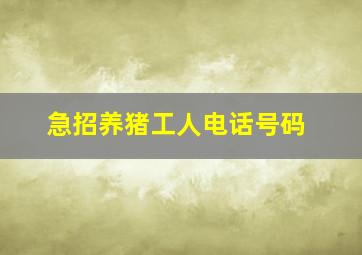 急招养猪工人电话号码