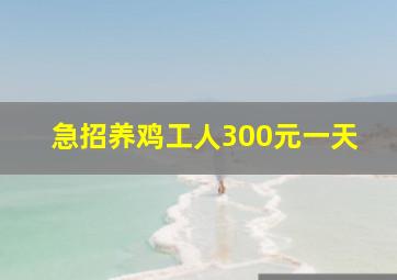 急招养鸡工人300元一天