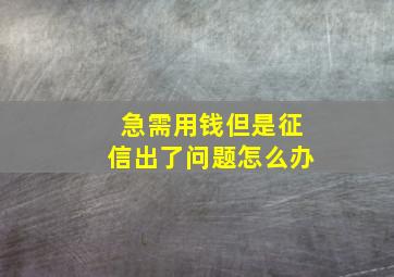 急需用钱但是征信出了问题怎么办