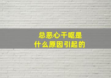 总恶心干呕是什么原因引起的