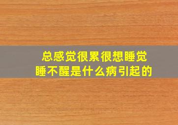 总感觉很累很想睡觉睡不醒是什么病引起的