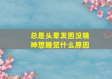 总是头晕发困没精神想睡觉什么原因