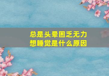 总是头晕困乏无力想睡觉是什么原因