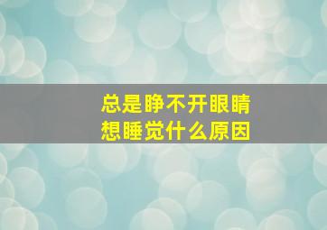 总是睁不开眼睛想睡觉什么原因