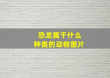 恐龙属于什么种类的动物图片