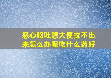 恶心呕吐想大便拉不出来怎么办呢吃什么药好