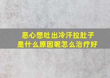 恶心想吐出冷汗拉肚子是什么原因呢怎么治疗好