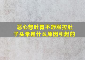 恶心想吐胃不舒服拉肚子头晕是什么原因引起的