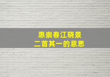 惠崇春江晓景二首其一的意思