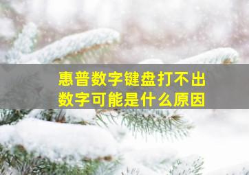 惠普数字键盘打不出数字可能是什么原因