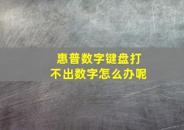 惠普数字键盘打不出数字怎么办呢