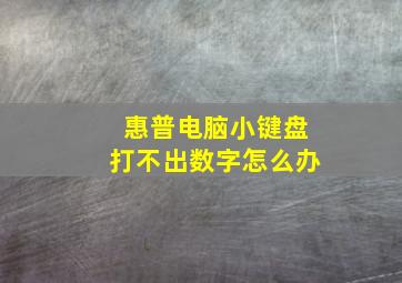 惠普电脑小键盘打不出数字怎么办