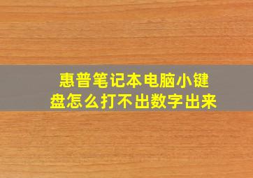 惠普笔记本电脑小键盘怎么打不出数字出来