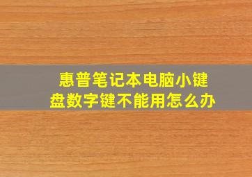 惠普笔记本电脑小键盘数字键不能用怎么办