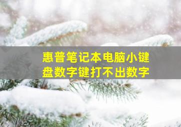 惠普笔记本电脑小键盘数字键打不出数字