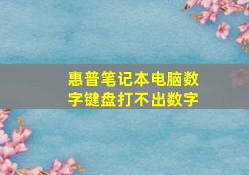 惠普笔记本电脑数字键盘打不出数字