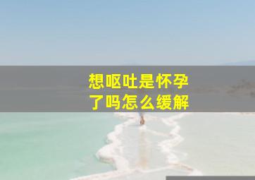 想呕吐是怀孕了吗怎么缓解