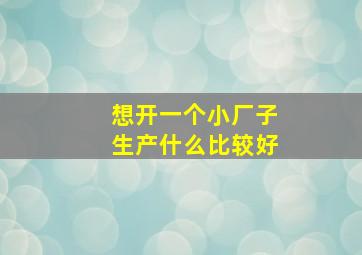 想开一个小厂子生产什么比较好