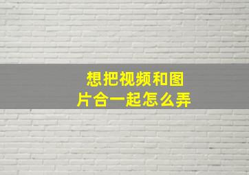 想把视频和图片合一起怎么弄