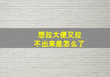 想拉大便又拉不出来是怎么了