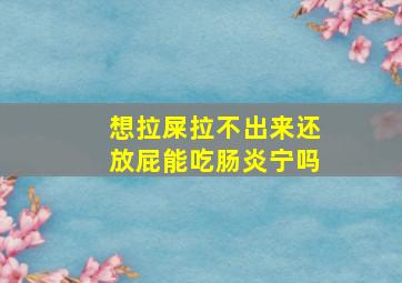 想拉屎拉不出来还放屁能吃肠炎宁吗