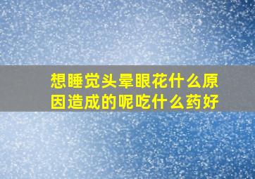 想睡觉头晕眼花什么原因造成的呢吃什么药好