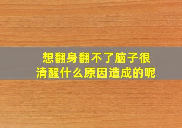 想翻身翻不了脑子很清醒什么原因造成的呢