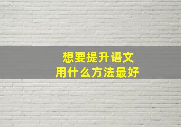 想要提升语文用什么方法最好