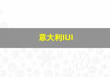 意大利IUI